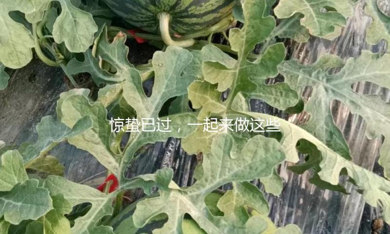 惊蛰已过，一起来做这些小事拥抱春天吧！ — 新京报