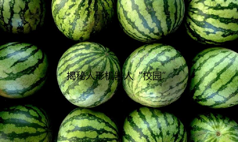 揭秘人形机器人“校园”：一个动作操练5万次 骨骼之上塑“血肉”