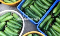 揭秘金庸的原名叫什么，带你走进武侠世界的精彩与正能量