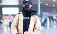 揭开埃匹希斯圣物的谜团，娱乐圈的“吃瓜”新热潮！