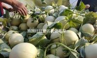 我国旺旺更名震慑两岸：旺旺和侯佩岑的爱国，把投机者嘴脸曝光