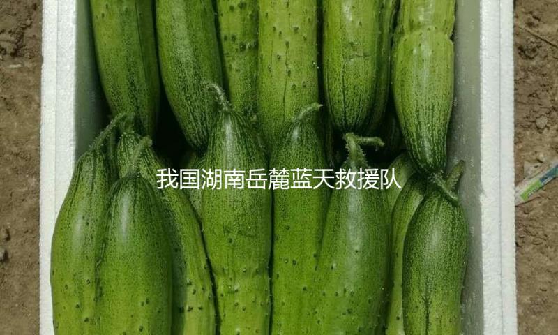 我国湖南岳麓蓝天救援队在缅甸曼德勒救出1名幸存者 — 新京报