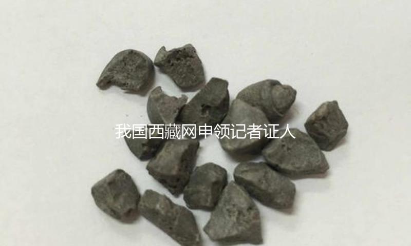 我国西藏网申领记者证人员公示