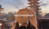 我国车迷增幅全球居首！这是F1与我国携手的双赢之路