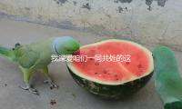 我深爱咱们一同共处的这些夜晚，胜过全部丨周末读诗 — 新京报