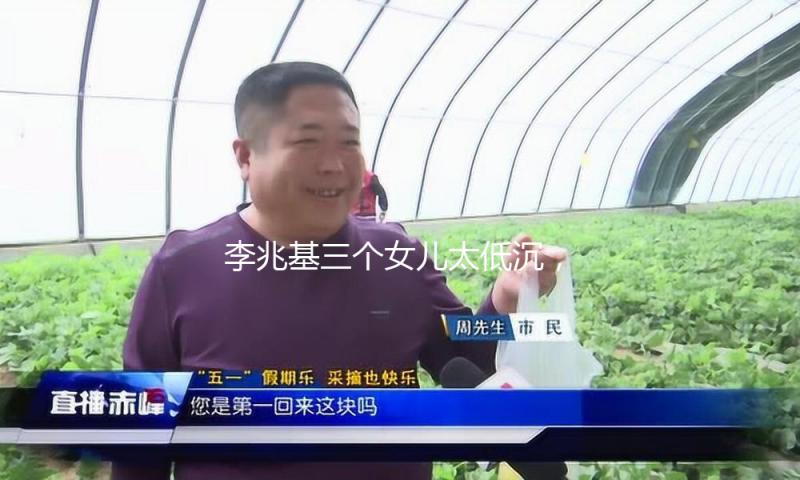 李兆基三个女儿太低沉，一个不婚不育，一个丁克，没一个人接班