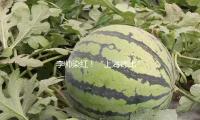 李帅染红！“上海德比”十人海港1比1战平申花