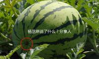 杨丞琳说了什么？分享人生感悟，激励粉丝迎接精彩未来！