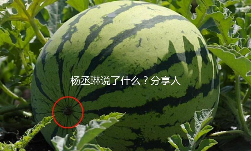 杨丞琳说了什么？分享人生感悟，激励粉丝迎接精彩未来！
