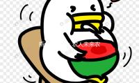 新疆昌吉州：农人未来农业科技馆内办理蔬菜