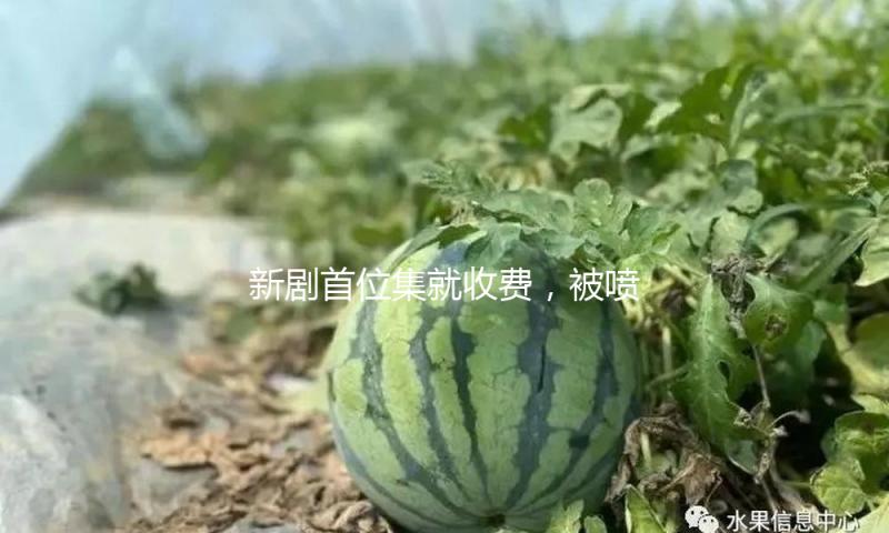 新剧第一集就收费，被喷后爱奇艺改了