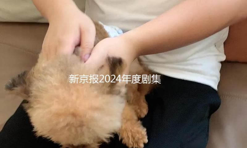 新京报2024年度剧集揭晓，山花绚丽俗人以歌 — 新京报