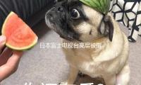 日本富士电视台高层被指控性骚扰 还与闻名女明星拍照密切照