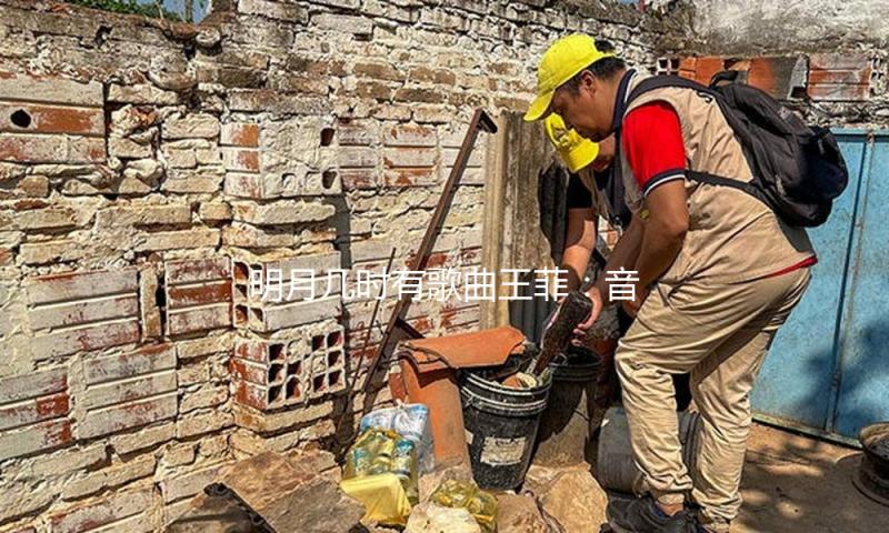 明月几时有歌曲王菲：音乐陪伴我们共度美好时光，吃瓜娱乐乐无穷！