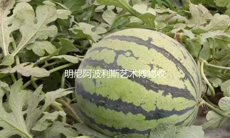 明尼阿波利斯艺术博物收藏青铜礼器展在纽约举办