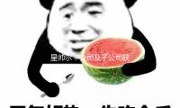 星帅尔：公司及子公司获得多项专利证书 — 新京报