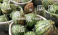 春装服配减佣：抖音商家的爆单公式