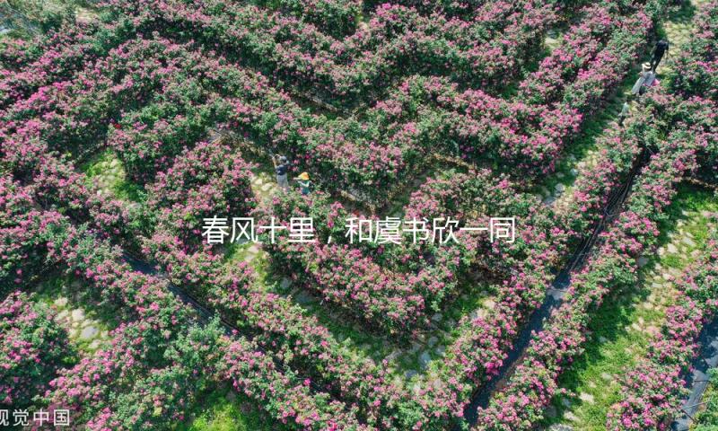 春风十里，和虞书欣一同发梢带甜