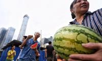 植物分类学家王文采院士去世