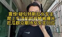 栽树添绿 全民共筑生态梦