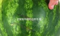 欧盟发布国防白皮书 期望在2030年“准备就绪” — 新京报