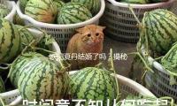 欧阳夏丹结婚了吗？揭秘她的幸福人生与事业成功