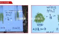 泽连斯基：不会供认被占领土归于俄罗斯 — 新京报