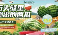 泽连斯基：乌美代表团在沙特谈判“十分有利”