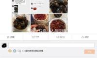 注视一只鸟，人与动物之间的边界开端消弭丨爱鸟日 — 新京报
