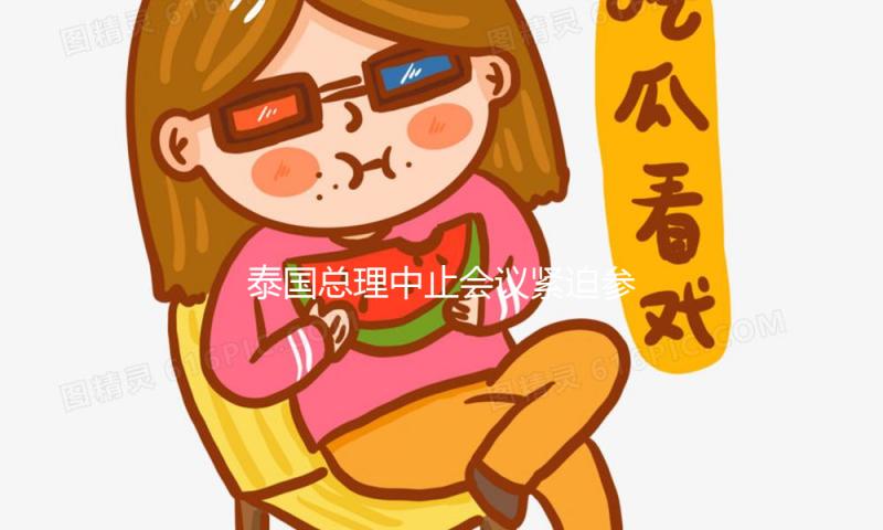 泰国总理中止会议紧迫参议地震应对办法