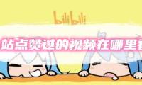 海港B队变身海港富盛经开，传承武磊一代从中乙联赛动身
