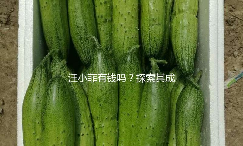 汪小菲有钱吗？探索其成功背后的努力与坚持！