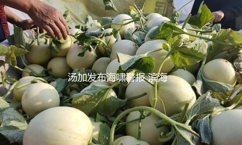 汤加发布海啸警报 滨海民众向高地和内陆搬运 — 新京报