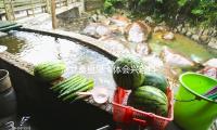 河北秦皇岛：体会兴趣科普 放飞科学愿望