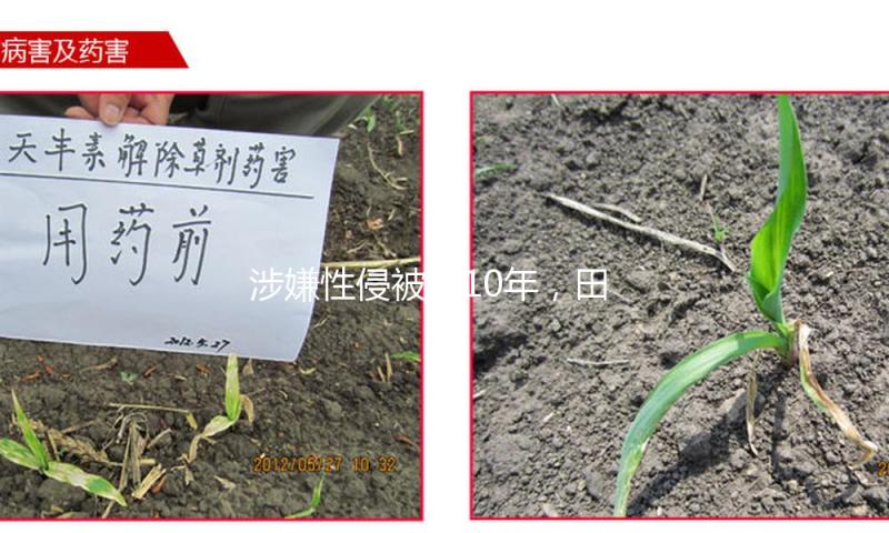 涉嫌性侵被判10年，田志希老公徐克：判决严峻倒置现实
