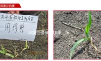 涉嫌性侵被判10年，田志希老公徐克：判决严峻倒置现实