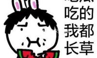 深耕国漫优质主义，优酷动漫2024年成果可圈可点