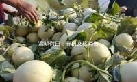 清明假日：春日文旅消费展示新动能