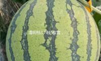 清明档3.78亿收官，《哪吒2》仍在票房榜前三