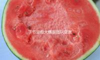 字节豆包大模型团队官宣！霸占关键技术 练习本钱节约40%