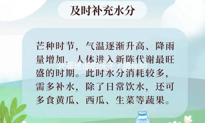 外甥是谁的孩子？揭秘明星家庭中的温馨故事与娱乐趣事！