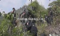 大兴机场口岸本年出入境人次破百万