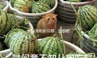 大标准电影引荐，部部都是经典，值得你熬夜观看！
