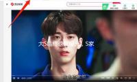 大S临终遗愿曝光，S家再被娱记炮轰，本来汪小菲真是“引流品”