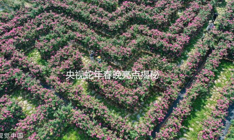 央视蛇年春晚亮点揭秘 中国年绘声绘色