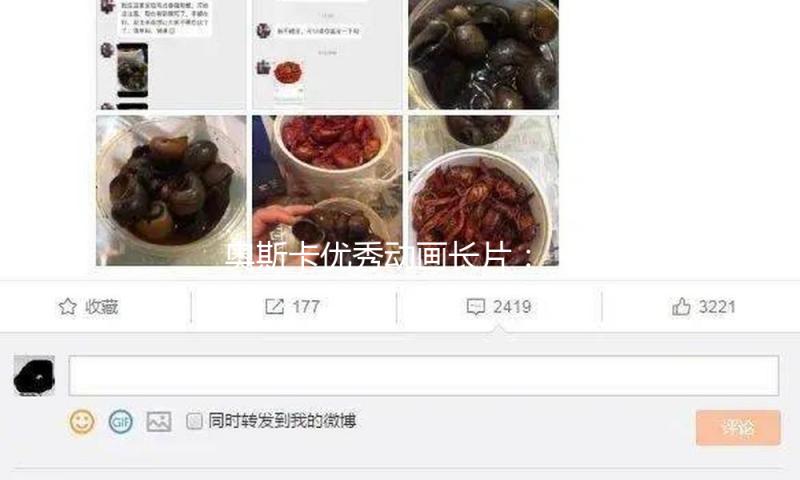 奥斯卡最佳动画长片：《猫猫的奇幻漂流》