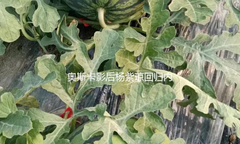 奥斯卡影后杨紫琼回归内娱，主演中国电影五月开拍！