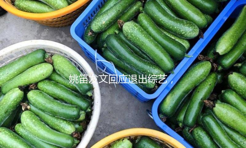 姚笛发文回应退出综艺，饭桌细节令人疼爱，未来可有三种挑选