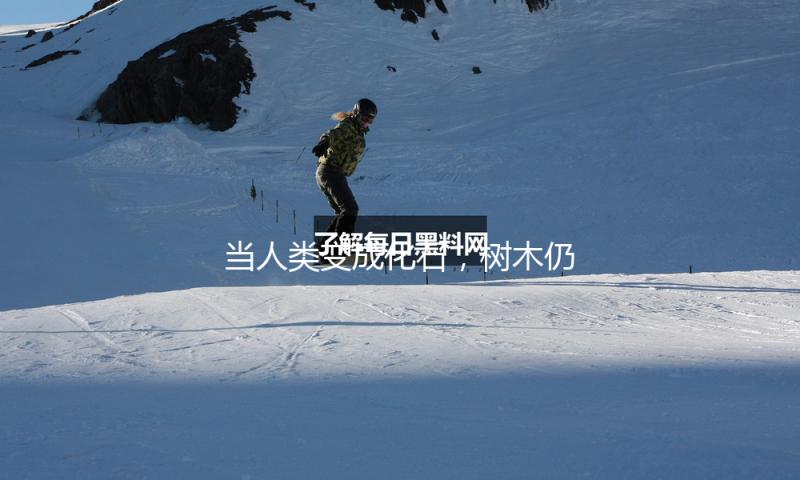 当人类变成化石，树木仍将耸峙不倒 — 新京报