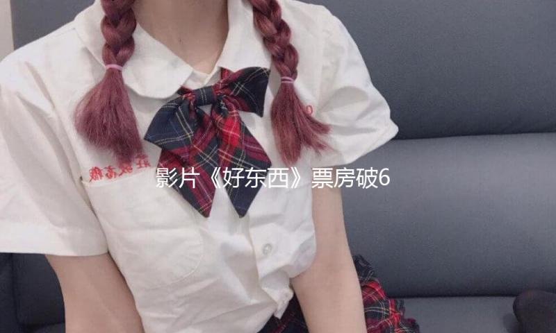 影片《好东西》票房破6亿，累计观影人次1423万 — 新京报
